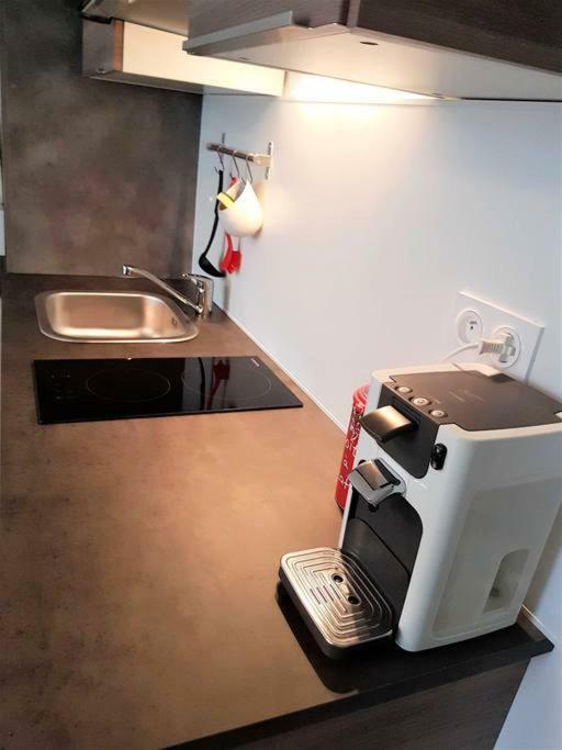 Tres Bel Appartement Centre Vitre Dış mekan fotoğraf